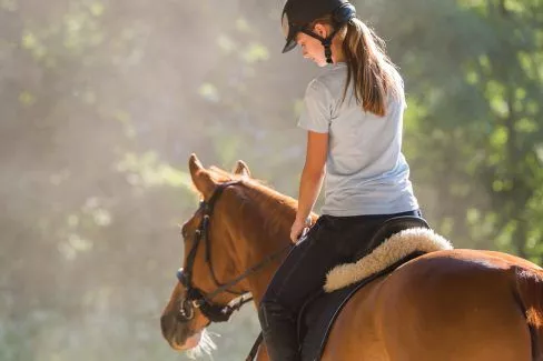 Ridedeltagelse »Omkostninger, priseksempler og mere
Ridedeltagelse »Omkostninger, priseksempler og mere