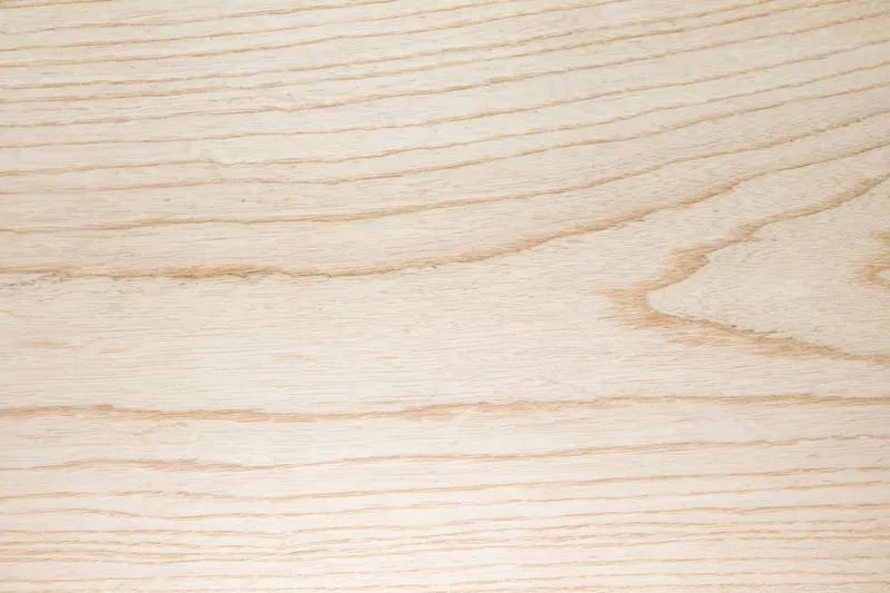 Los tipos de madera más importantes y su uso: ¿qué madera para tu proyecto?
Los tipos de madera más importantes y su uso: ¿qué madera para tu proyecto?