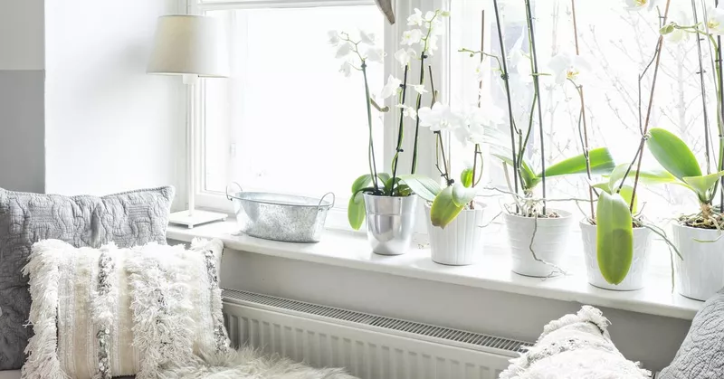 Zdobení parapetů: 11 stylových triků a nápadů - Your-Best-Home.net
Zdobení parapetů: 11 stylových triků a nápadů - Your-Best-Home.net