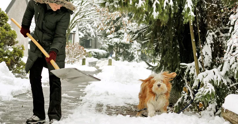 
  Service d'hiver: quand déblayer et épandre la neige? - Votre-Best-Home.net
