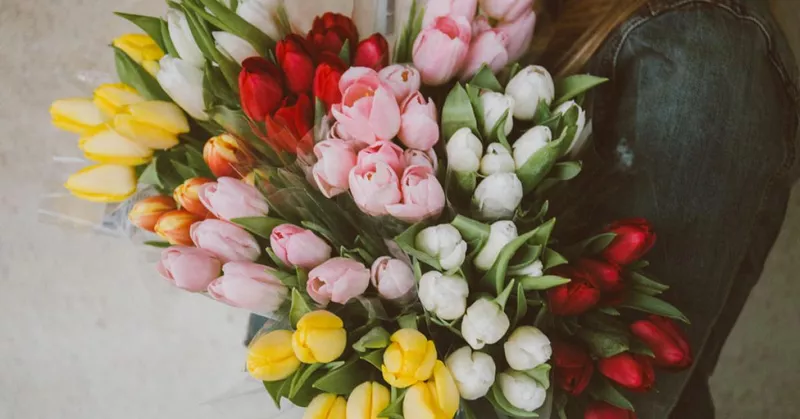 
  Nasveti za nego: tulipani v vazi - tako ohranjajo glavo - Your-Best-Home.net
