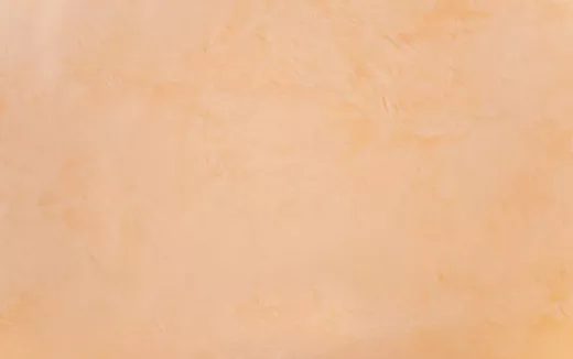Acoperiri de efect: tencuială venețiană (Stucco veneziano)
Acoperiri de efect: tencuială venețiană (Stucco veneziano)