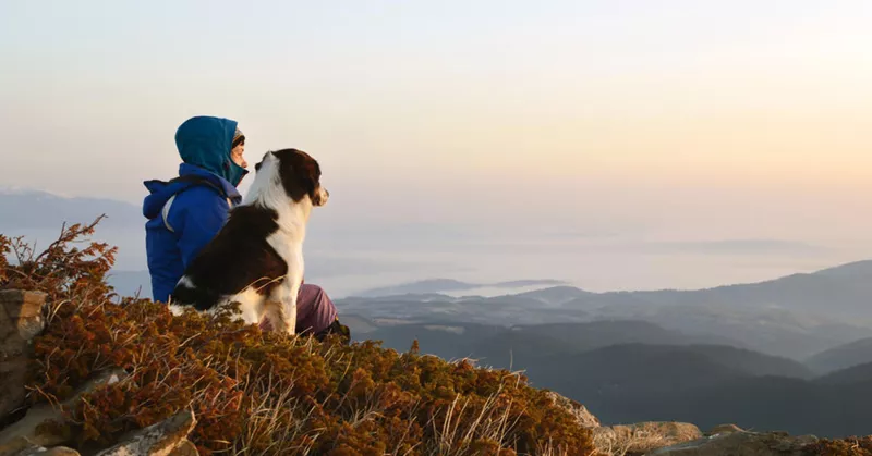
  Trekking con perros: ¡Más que simplemente caminar con un perro! - Your-Best-Home.net
