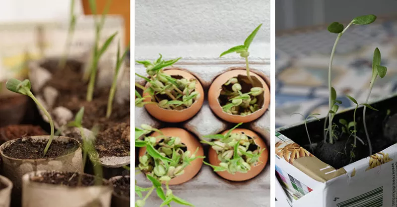 Vyrobte si pěstování květináčů sami: 3 nápady bez plastu - Your-Best-Home.net
Vyrobte si pěstování květináčů sami: 3 nápady bez plastu - Your-Best-Home.net
