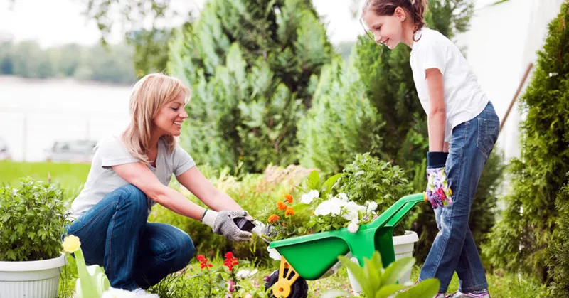 Efterårsplantning eller rettere forårsplantning? - Your-Best-Home.net
Efterårsplantning eller rettere forårsplantning? - Your-Best-Home.net