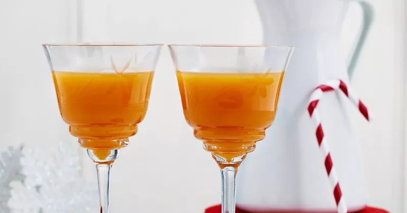 Recept na lehké svařené víno s rakytníkem - Your-Best-Home.net
Recept na lehké svařené víno s rakytníkem - Your-Best-Home.net